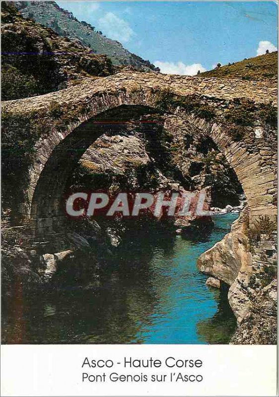 Postcard Modern Asco Corsica Bridge Genoa on Asco