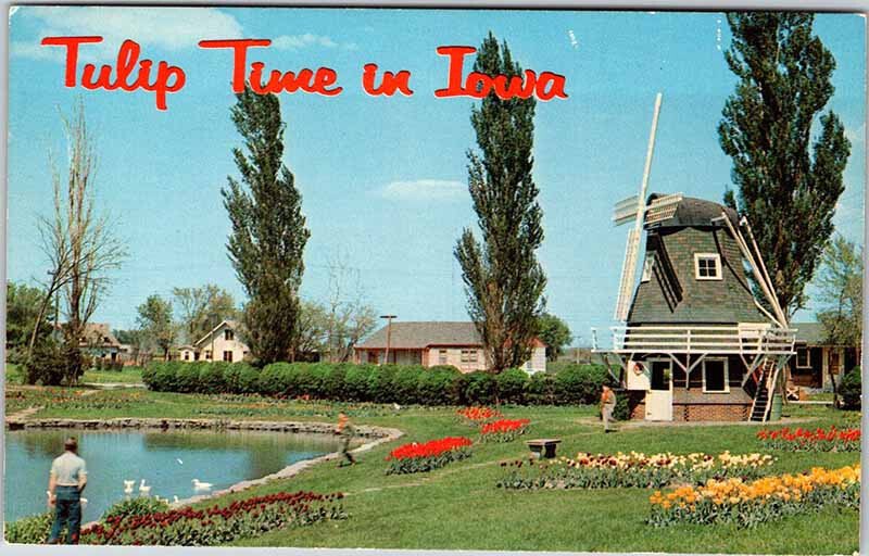 Postcard GARDEN SCENE Ames Iowa IA AK0483