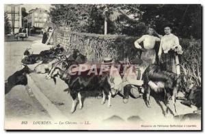  Vintage Postcard Goat Lourdes goats TOP