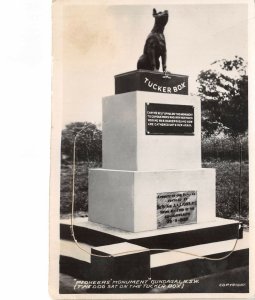 Lot143 history of the 5 mile gundagai tucker box dog nsw australia leporello