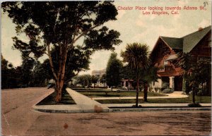 Chester Place Looking Towards Adams St., Los Angeles CA Vintage Postcard O69