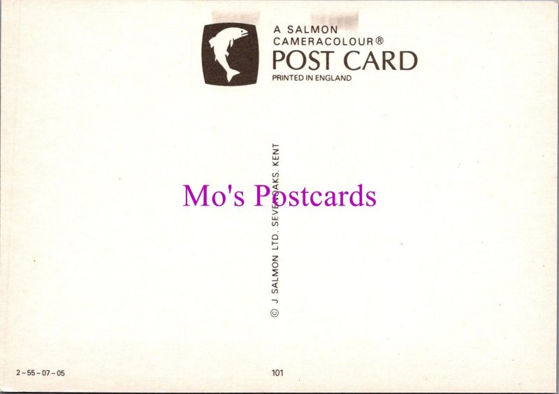 Wiltshire Postcard - Devizes Views   SW16480