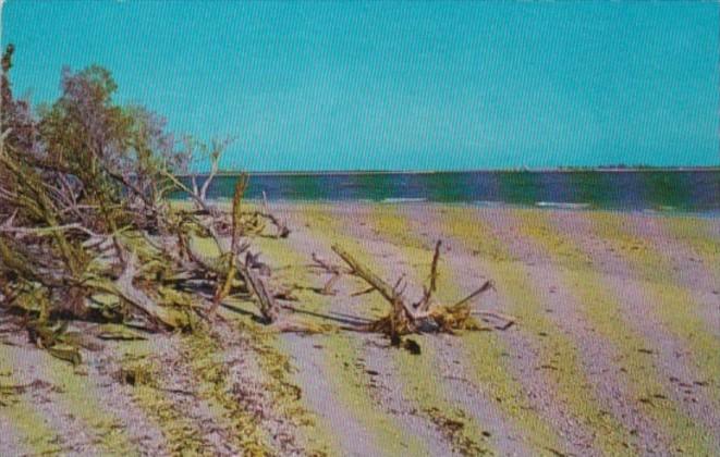 Florida Sanibel Island Bay Side View Of Lighthouse Point