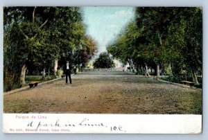 Lima Peru Postcard View of a Man walking in Lima Park 1907 Posted Antique