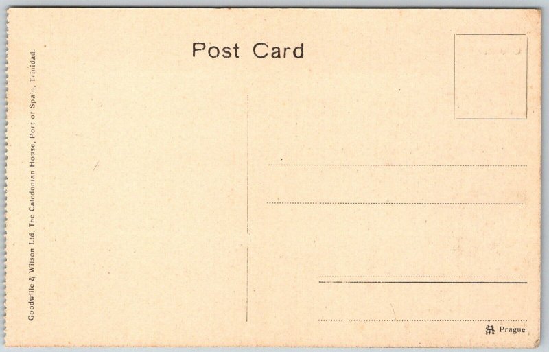 Port Of Spain Trinidad c1910 Postcard Breaking Cocoa