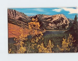 Postcard Blue, Green And Gold, Lower Green River Lake, Wyoming