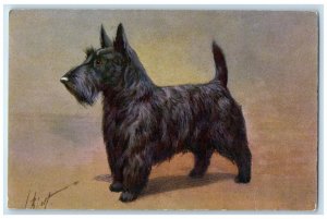 c1930's Cute Black Scottie Dog Animals Switzerland Unposted Vintage Postcard