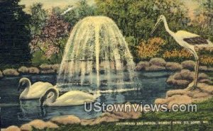 Swans, Forest Park - St. Louis, Missouri MO Postcard