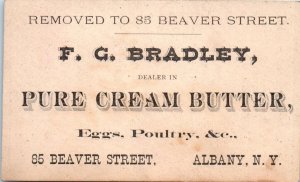 1880s FC Bradley Dealer in Pure Eggs Butter Beaver St Albany NY Business Card Ad