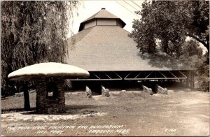 RPPC Toad Stool Fountain and Auditorium City Park Fairbury NE Vtg Postcard V71