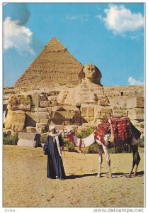 Camel, The Great Sphinx and Khephren Pyramid, Egypt, 50-70´s