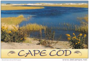 Seaside Garden Cape Cod Massachusetts
