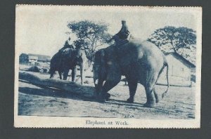 Ca 1920 PPC Elephants At Work India Mint