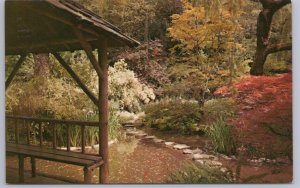 Japanese Garden, Butchart Gardens, Victoria British Columbia, Vintage Postcard#2