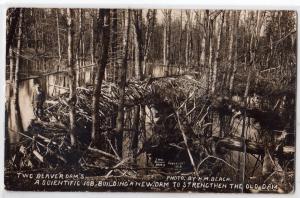 RPPC, Two Beaver Dams NY / H. M. Beach Photo