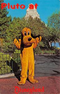 Pluto At Disneyland 1950-60s Chrome Postcard Anaheim California Where is Mickey?