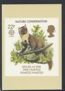 Post Office Postcard - Stamp - Nature Conservation - Pine Martin  RR6356