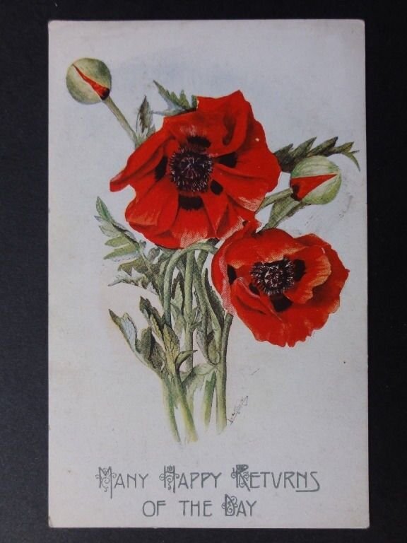 Poppies Postcard: Many Happy Returns of the Day by J.Salmon No.1363