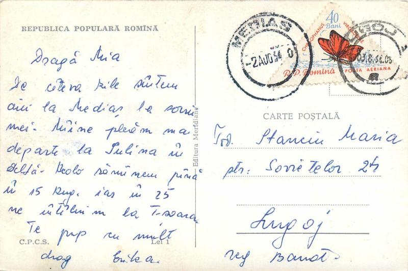 Romania Medias panorama butterfly stamp postcard