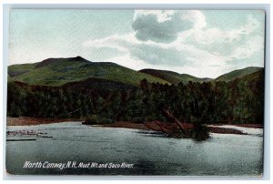 c1950's North Conway New Hampshire Moat Mt. & Saco River Grove Vintage Postcard