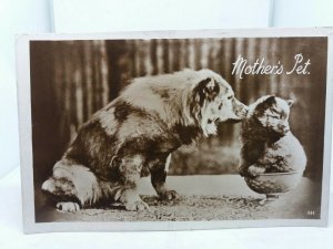Vintage Antique Rp Postcard Mothers Pet Mummy Dog with Cuddly Puppy