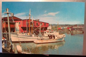 Vintage Postcard 1960's Fishing Boats, Rockland, Maine  (ME)