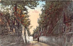 ROAD MT LEXINGTON BERMUDA~WILLIAM WEISS PUBL POSTCARD 1920s