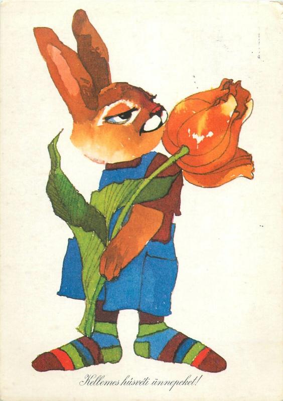 Hungary Easter bunny rabbit caricature postcard