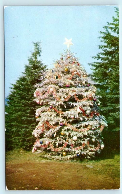JEFFERSON, New Hampshire - Santa's Village GIANT LIGHTED CHRISTMAS TREE Postcard 