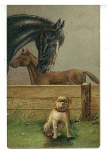 Horses & Dog   (chips)