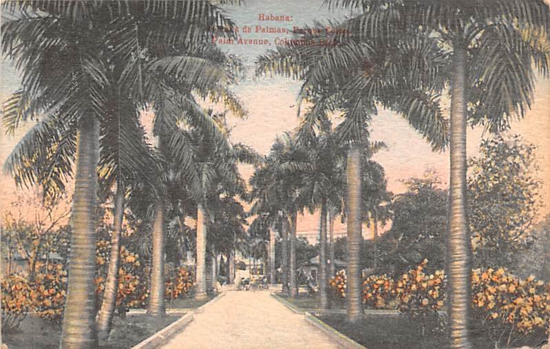 Palm Avenue, Columbus Park Habana Cuba, Republica de Cuba 1923 