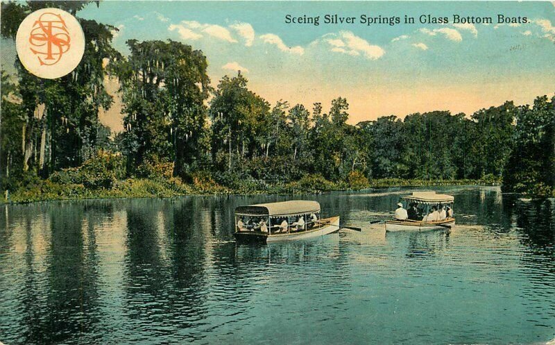 Silver Springs Florida Scenery Glass Bottom Boats Postcard 21-5600