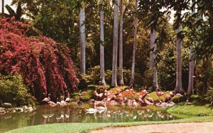 Jungle Garden Scene Pink Flamingos Colorful Flowers Florida FL Vintage Postcard