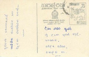 Entier Postal Stationery Postal Sri Lanka Ceylon Lion