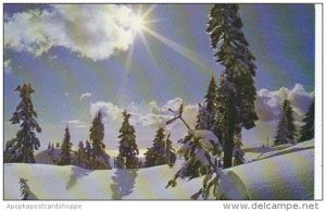 Winter Wonders North Shore Mountains British Columbia Canada