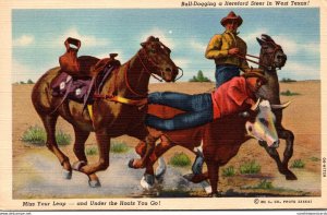Texas Bull-Dogging A Hereford Steer In West Texas 1953 Curteich