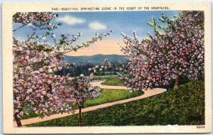 Beautiful Springtime Scene in the Heart of the Mountains M-43539