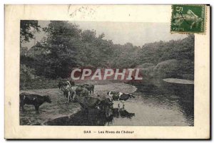 Old Postcard Dax Les Rives De L & # 39Adour Cows