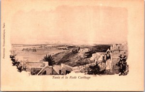 Tunisia Tunis et la Rade Carthage Vintage Postcard C158