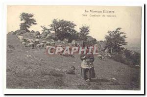 The Morvan illustrates Old Postcard Gardeuse sheep (livestock farming profess...