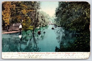 c1900 Otego Lake The Source of the Susquehanna River Which Rises Boats Postcard