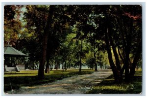 Grand Forks North Dakota ND Postcard Central Park Trees Scenic View 1910 Antique
