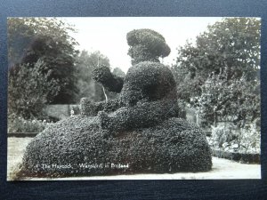 Peterborough WANSFORD The Haycock TOPIARY GARDEN - Old RP Postcard