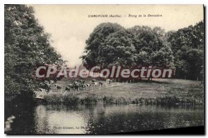 Postcard Old Pond Sarthe Chaufour of Denisiere