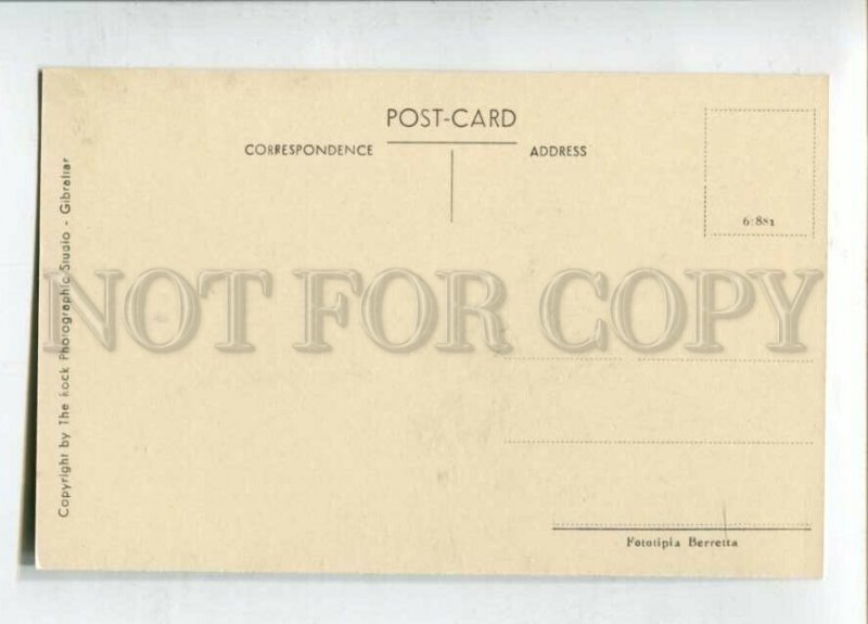 3147438 UK GREETINGS from GIBRALTAR map Vintage postcard