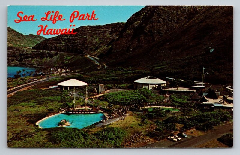 Sea Life Park At Makapuu Point Waikiki Hawaii Vintage Unposted Postcard