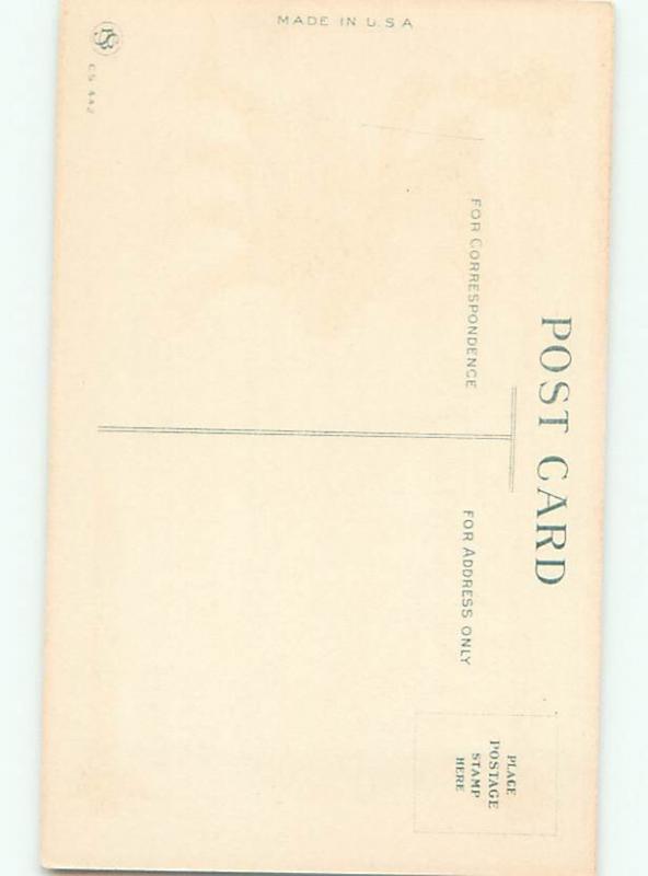 Very Old Foreign Postcard BEAUTIFUL FLOWERS SCENE AA5034