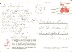 Jackalope Rabbit PM 1982 Jackson Wyoming Postcard