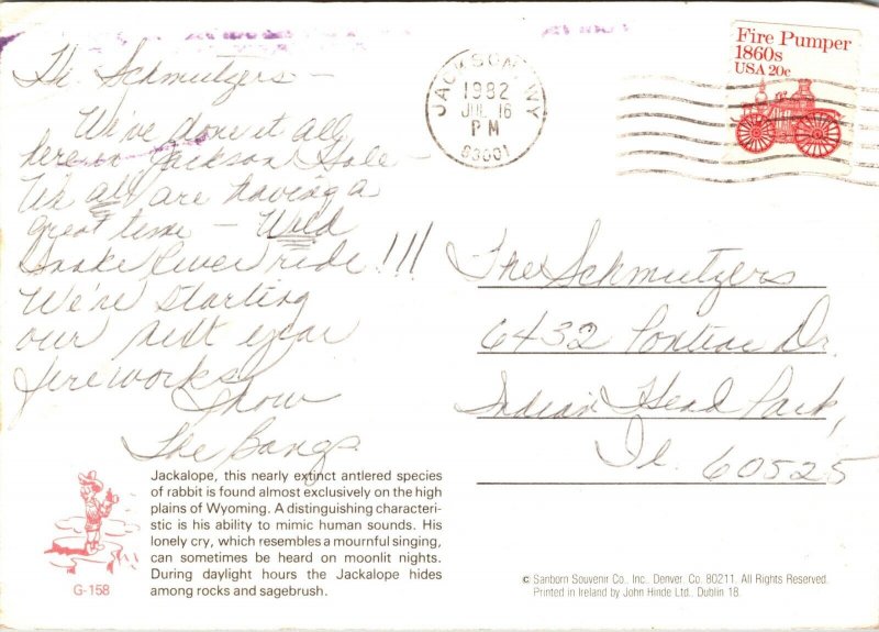 Jackalope Rabbit PM 1982 Jackson Wyoming Postcard