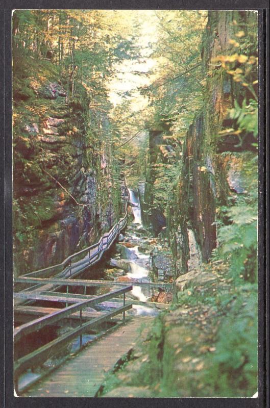 The Flume Gorge,Franconia Notch,NH BIN